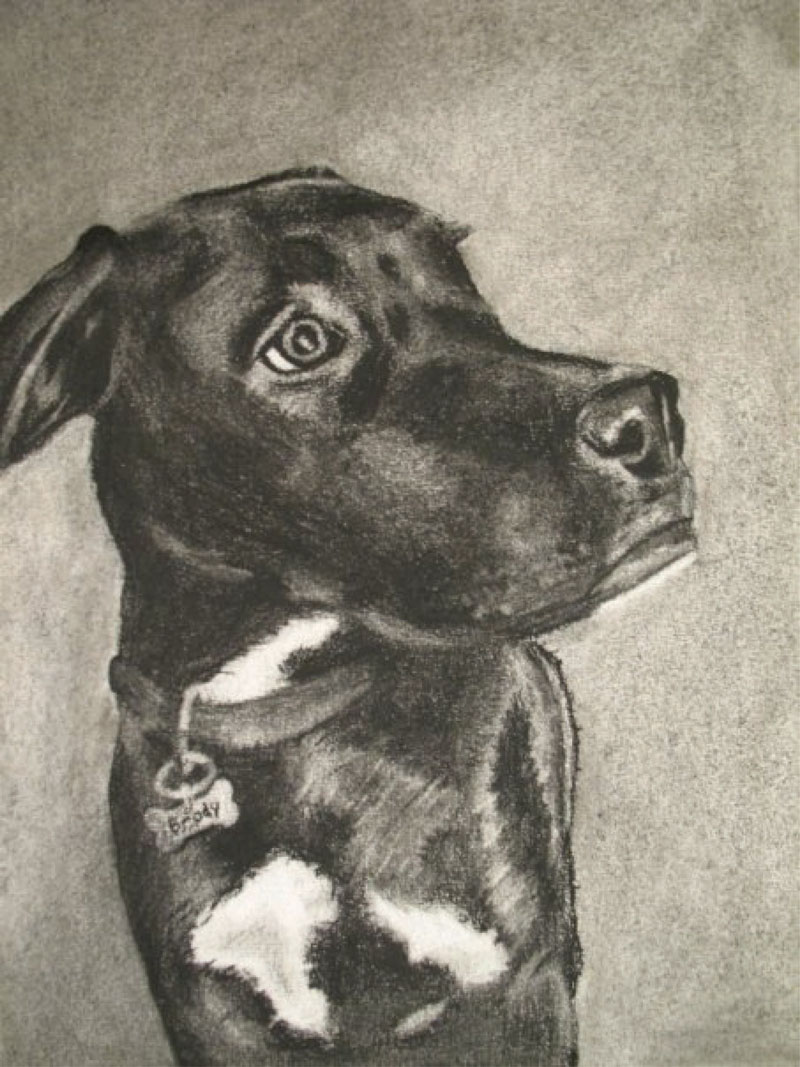 dog drawing
